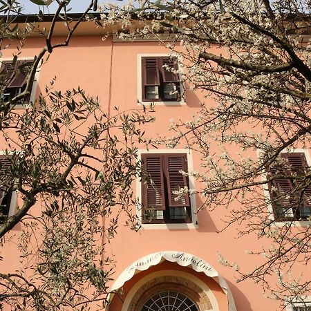 Angelini Dal 1911 Hotel Lucca Bagian luar foto