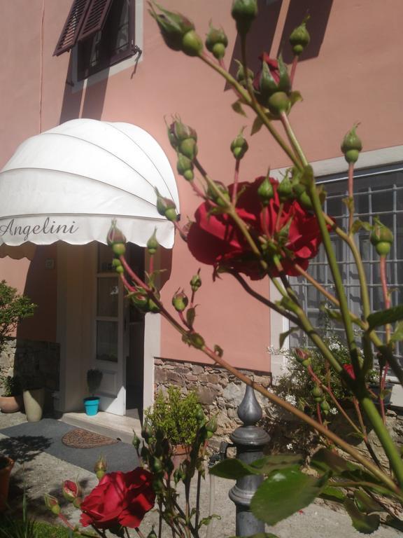 Angelini Dal 1911 Hotel Lucca Bagian luar foto