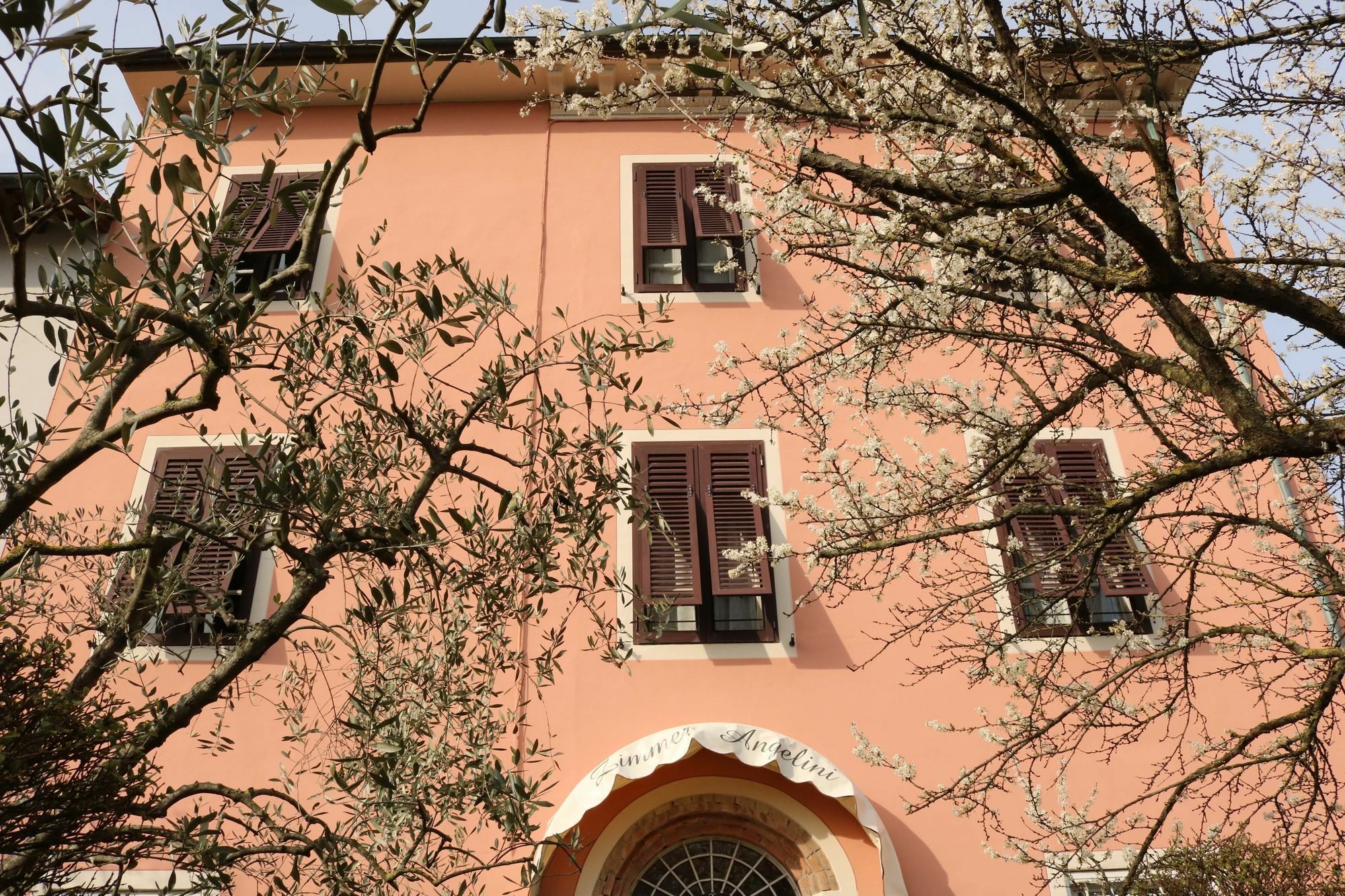 Angelini Dal 1911 Hotel Lucca Bagian luar foto